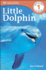 Little Dolphin