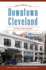 The Birth of Downtown Cleveland: a Vision Interrupted