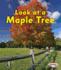 Look at a Maple Tree Format: Paperback