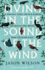 Living in the Sound of the Wind: B Format