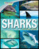Sharks (Discovery Kids) (Family Reference Guide)