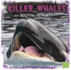 Killer Whales: Built for the Hunt (Predator Profiles)