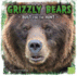 Grizzly Bears: Built for the Hunt (Predator Profiles)