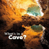 What's in a Cave? (What's in There? )