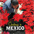 Christmas in Mexico (First Facts: Christmas Around the World)