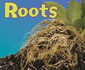 Roots (Pebble Plus: Parts of Plants)