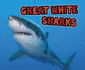Great White Sharks (Pebble Plus: All About Sharks)