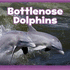 Mammals in the Wild: Bottlenose Dolphins