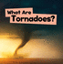 Wicked Weather: What Are Tornadoes?