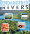 Endangered Earth: Endangered Rivers: Investigating Rivers in Crisis (Fact Finders: Endangered Earth)