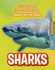 Animal Detectives: Sharks