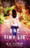 One Tiny Lie a Novel Volume 3 the Ten Tiny Breaths Series