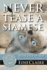 Never Tease a Siamese: a Leigh Koslow Mystery (Volume 5)