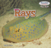 Rays (Powerkids Readers: Fun Fish, 2)