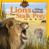 Lions and Other Animals That Stalk Prey (Awesome Animal Skills)