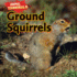 Ground Squirrels (Animal Cannibals)