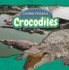 Crocodiles (Living Fossils)