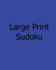 Large Print Sudoku: Level 1: Enjoyable, Large Grid Puzzles