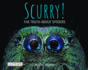 Scurry! : the Truth About Spiders