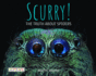 Scurry: the Truth About Spiders