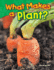 What Makes a Plant? (Science Readers: Content and Literacy)