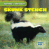 Skunk Stench (Nature's Grossest)