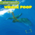 Whale Poop (Nature's Grossest, 4)