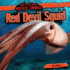 Red Devil Squid (Bad to the Bone: Nastiest Animals, 2)