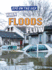 When Floods Flow (Eye on the Sky, 2)