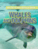 Whales and Dolphins (100 Facts You Should Know, 6)