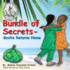 Bundle of Secrets: Savita Returns Home (Best Children's Book 2014-Africana Children's Book Award)