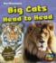Big Cats Head to Head: a Compare and Contrast Text (Heinemann First Library: Text Structures)