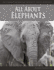 All About Elephants