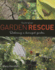 Australian Garden Rescue: Restoring a Damaged Garden