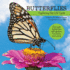 Butterflies: Exploring the Life Cycle