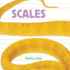 Scales (Whose is It? )