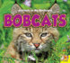 Bobcats