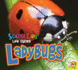 Ladybugs (Science Kids: Life Cycles)