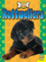 Rottweilers (All About Dogs)