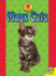 Manx Cats (Av2 All About Cats)