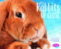 Pet Rabbits Up Close (Pebble Plus: Pets Up Close)