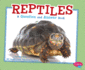 Reptiles: a Question and Answer Book (Pebble Plus: Animal Kingdom Questions and Answers)