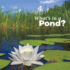What's in a Pond? (What's in There? )