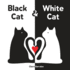 Black Cat & White Cat: a High Contrast Sensory Board Book About Opposites for Newborns and Babies