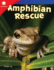 Amphibian Rescue (Smithsonian: Informational Text)