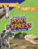Working on the Pony Express: a This Or That Debate (This Or That? History Edition)