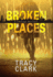 Broken Places (a Chicago Mystery)