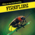 Fireflies (Glow-in-the-Dark Animals, 2)