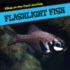 Flashlight Fish (Glow-in-the-Dark Animals)