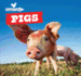 Pigs (Farmyard Friends)